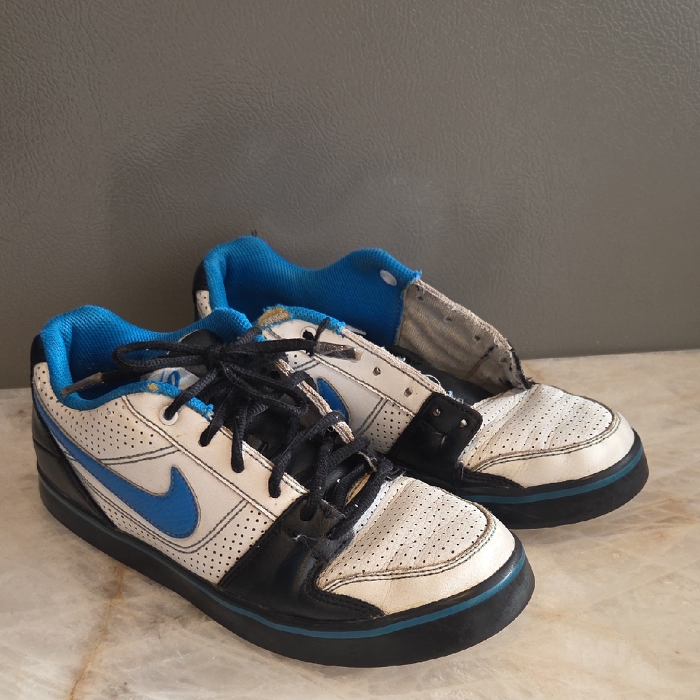 Nike Low Dunk Skater Sneaker